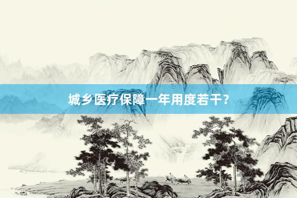 城乡医疗保障一年用度若干？